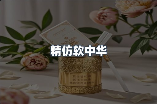 精仿软中华